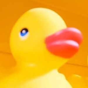 Meet your Posher, Shawna